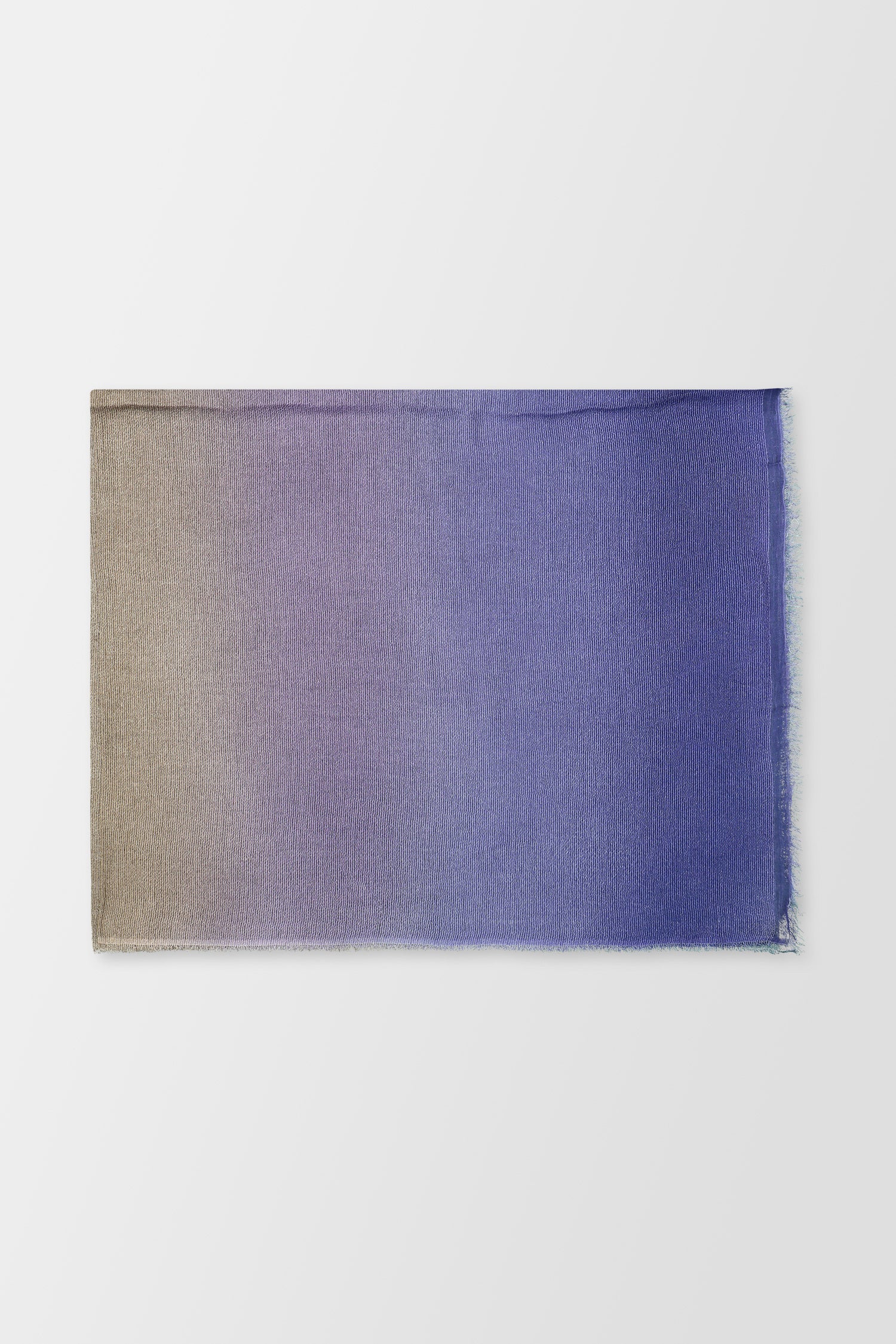 Faliero Sarti Blue Lory - Image 2