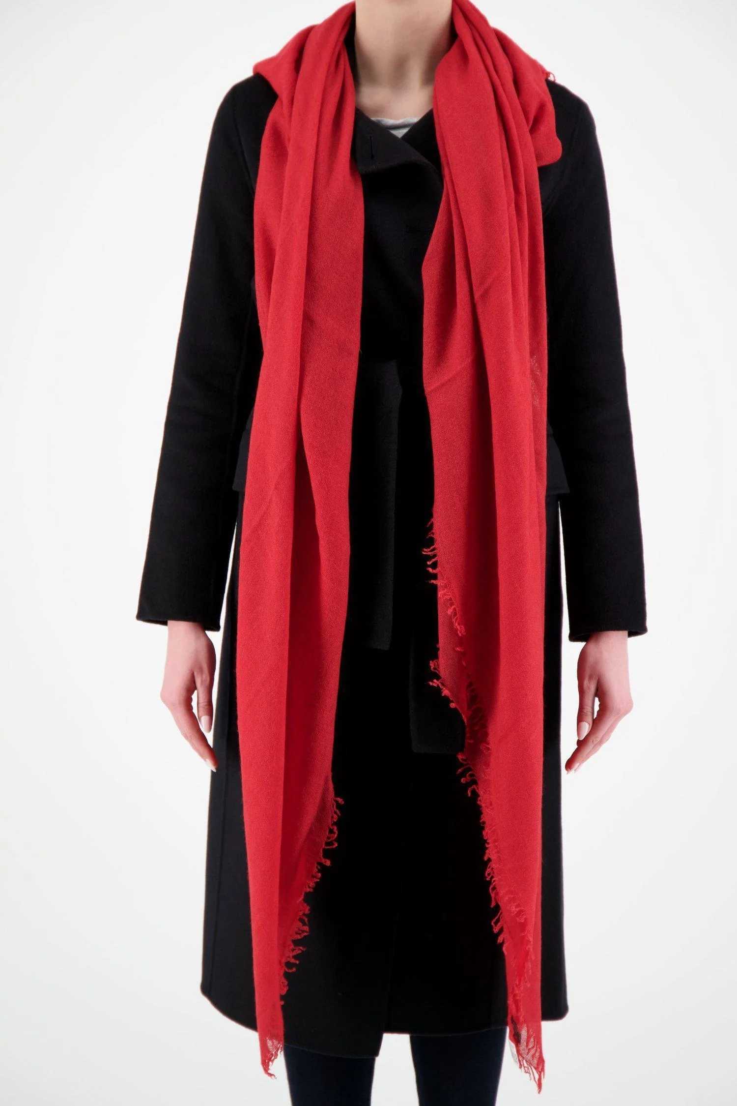 Faliero Sarti Raspberry New Enrica - Image 6