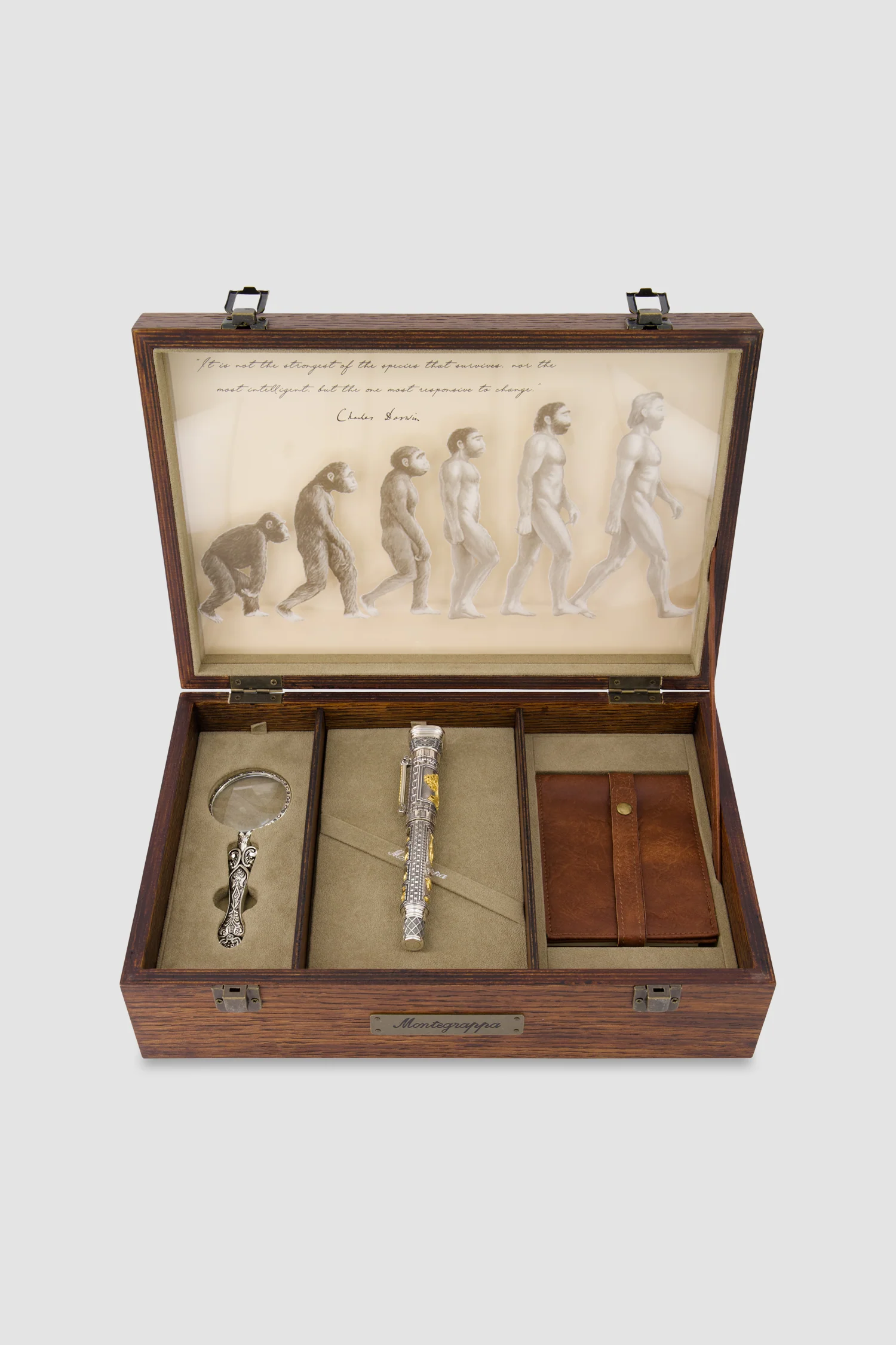 Montegrappa Theory of Evolution Limited Edition Rollerball - Image 6